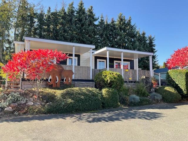 Zu Jeddelohs Bungalows & Apartments -Adult Friendly Gladenbach Экстерьер фото